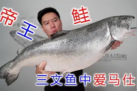 试吃顶级三文鱼帝王鲑，入口就爆油，爽到全身发抖视频封面