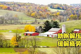 60分钟助眠轻音乐，有梦想的人睡不着，没梦想的人睡不醒。视频封面