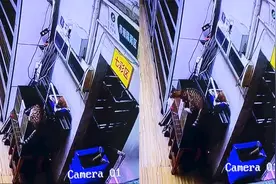 小猫趁主人不在，捞千元大鱼吃，主人看监控“咆哮”：死了！别闹视频封面