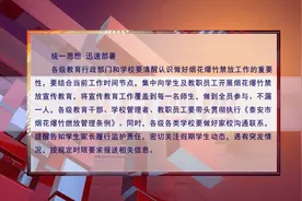 教育新闻丨热点回应：全市教育系统开展烟花爆竹禁放宣传教育活动视频封面