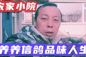 生活其实很简单，农家小院养信鸽，就是冬天比较难！视频封面