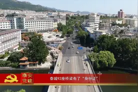 泰安党建丨泰城92座桥梁有了“身份证”视频封面