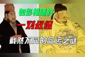 如影相随的一对叔侄，结局却截然不同的原因，都源于他的失德视频封面