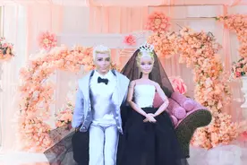 芭比和肯拍浪漫婚纱照的玩具故事视频封面