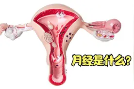 女生为什么会来“例假”，月经到底是什么，又是如何形成的呢？视频封面