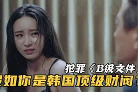 假如你是韩国财阀！第一人称带你直面纸醉金迷！犯罪《B级文件》视频封面