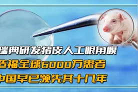 瑞典研发猪皮人工角膜，造福全球6000万患者，中国早已领先十几年视频封面