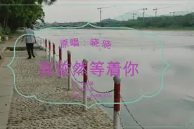 2020最新网络伤感歌曲 晓晓《我依然等着你》回味过去的甜言蜜语视频封面