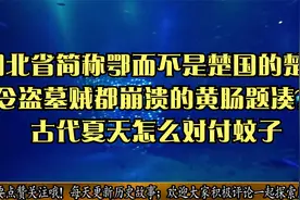 湖北省简称鄂而不是楚国的楚？令盗墓贼都崩溃的黄肠题凑？视频封面