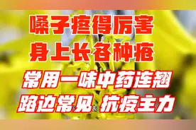 嗓子疼得厉害、身上长各种疮，常用一味连翘，还是抗疫主力视频封面