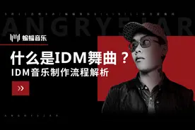 什么是IDM舞曲？IDM音乐制作流程解析|蝙蝠电音公开课