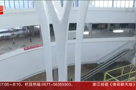 亚运有我 杭州萧山机场T4航站楼亮相 计划亚运会前投运视频封面