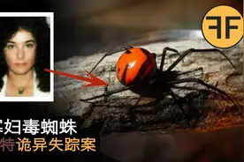 悬案43年，深夜11点被黑寡妇毒蜘蛛咬伤后，32岁同行女子人间蒸发视频封面