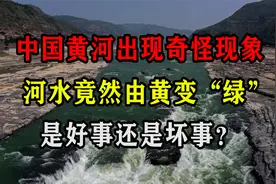 中国黄河出现奇怪现象，河水竟然由黄变“绿”，是好事还是坏事？视频封面