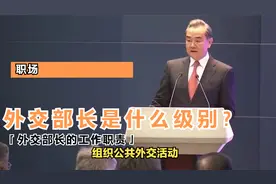 外交部长是什么级别？（外交部长的工作职责）视频封面