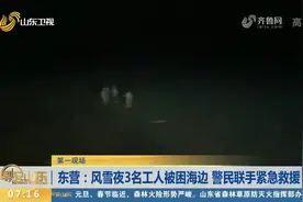 惊险！风雪夜3名工人被困海边，危急时刻，警民冒着风雪合力救援视频封面