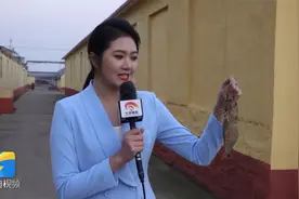 日照涛雒镇的对虾火爆出圈，大虾肉质鲜美个头大，营养价值特别高视频封面