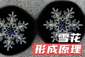 雪的形成原理：为什么说世界上没有2片完全相同的雪花！视频封面