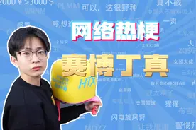 【网梗课代表】赛博丁真是什么梗？