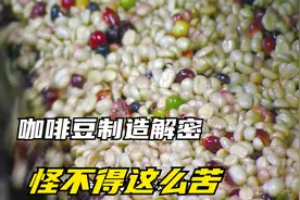 咖啡原来是这样磨出来的，怪不得这么苦，这么好喝，咖啡豆制造