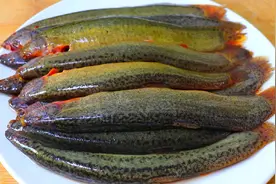 泥鳅如何宰杀才简单还粗暴？教你泥鳅最有营养的做法，还没土腥味视频封面