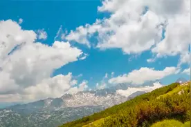 不做分析就无法综合，综合是分析的结果。——毛泽东视频封面