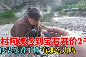 农村阿姨捡到绿松石开价2000元，小伙表示看不懂，这石头真贵视频封面