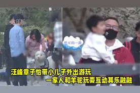 章子怡汪峰合体带小儿子游玩，一家人和羊驼互动玩耍，画面超温馨视频封面
