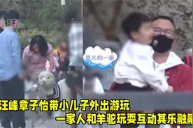 章子怡汪峰合体带小儿子游玩，一家人和羊驼互动玩耍，画面超温馨视频封面