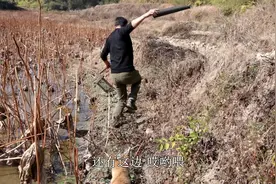 田埂被啥挖空了，农民受托小伙去抓“凶手”，小伙出手也犯难了视频封面