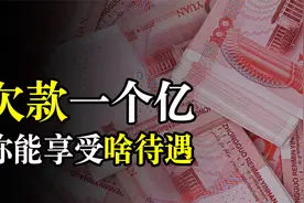 如果欠银行一个亿，会享受到哪些待遇？行长：先拿出70%资产抵押视频封面