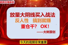 放量大阴线买入战法：反人性 买到就赚 纯干货视频封面
