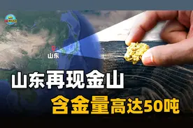 山东又发现200亿金山！黄金开采出来后去哪了？归本地人所有吗？视频封面