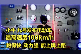 小牛、九号发布电动车，最高速度100km/h，全国上牌上路