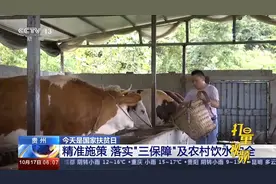 贵州坚持脱贫标准，聚焦“三保障”及农村饮水安全|朝闻天下视频封面