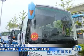 花湖机场正式投运 公交客运实现无缝对接视频封面