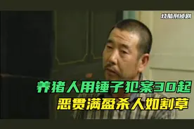 养猪人制造惊天大案，一把锤子作案30起，不料却被外甥暴露身份视频封面