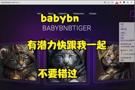千万不要错过 手把手教你如何买babybn，跟我一起wa起来