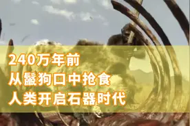 240万年前的人类，跟鬣狗抢食腐肉，无意间开启石器时代的大门视频封面