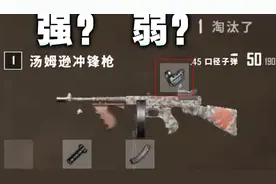 新版本能装镜子的汤姆逊是真的强？武器测评！数据分析！视频封面
