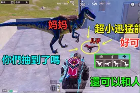 首款可以互动的宠物，这迅猛龙也太小了吧，它妈妈比他大1000倍视频封面