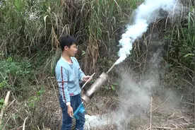 小伙灭鼠有高招，这样灭鼠才是最高效的办法，农田再多鼠害都不怕视频封面