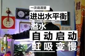 鱼缸不打孔改底滤调整进出水平衡？理解错了，这是个不科学的问题视频封面