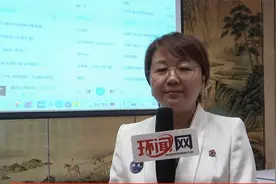 姚燕，北京德申成长与发展学院院长视频封面