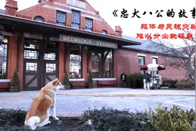 灵魂与肉体交融 难以分出孰轻孰重视频封面