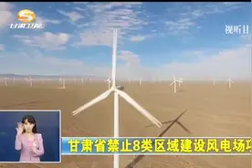 甘肃省禁止8类区域建设风电场项目视频封面