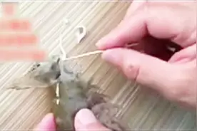 大虾体内惊现白色线状物体究竟是何物？商家:那是寄生虫！视频封面