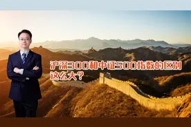 沪深300和中证500指数的区别，这么大？视频封面