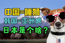 中国=睡狮，韩国=亚洲虎，日本是个啥？视频封面