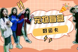 豆豆捡到盲盒小狗，意外抽中50万大奖？原来小狗是“好运卡”变的视频封面
